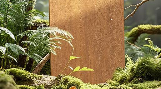 絲絨木語•層林謐境(黃) | 森林的治愈感讓我每天都不願出門